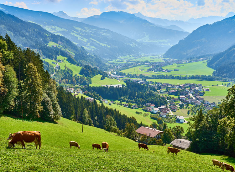 Tirol